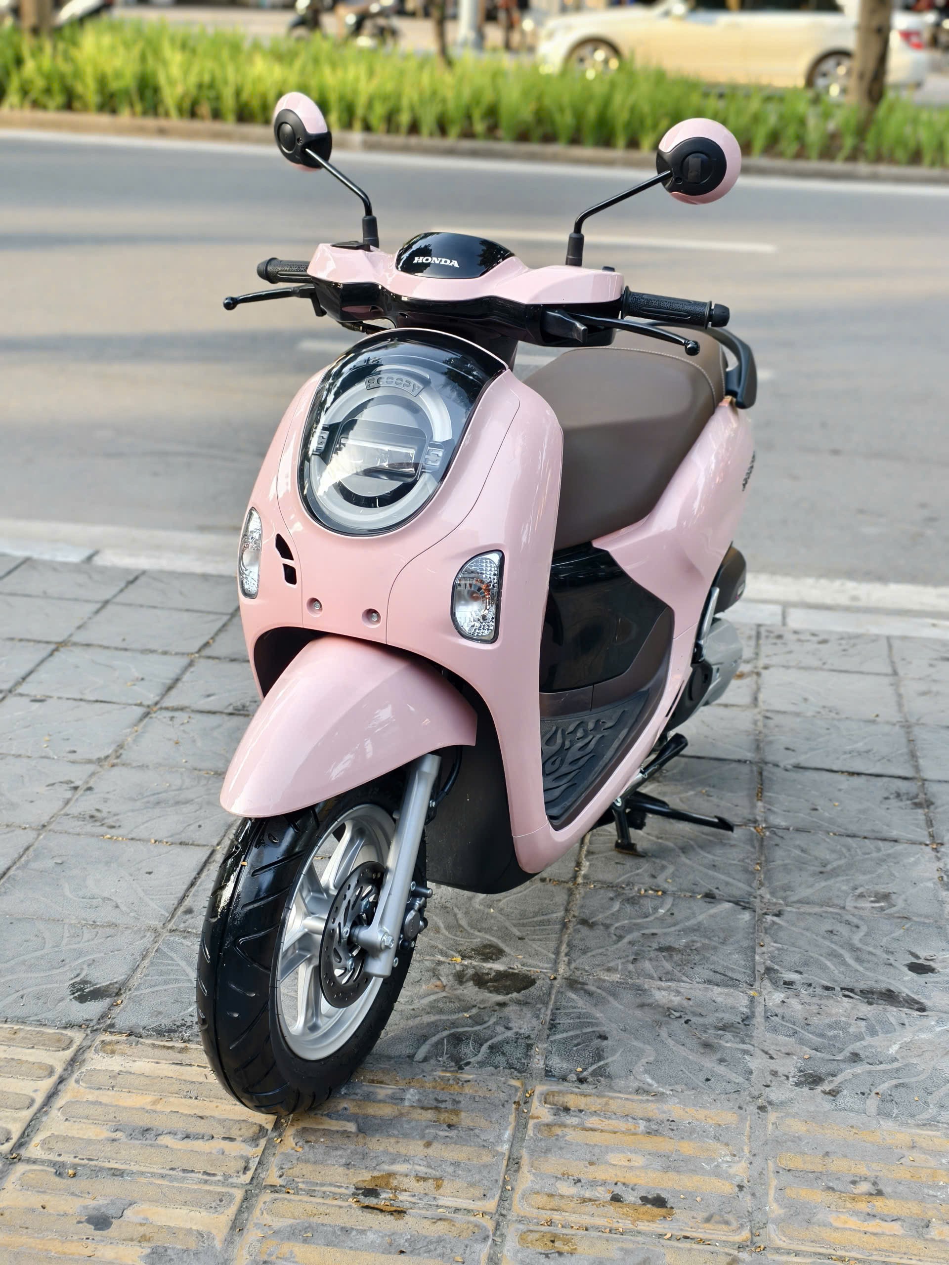 Scoopy 2026 hồng hải quan