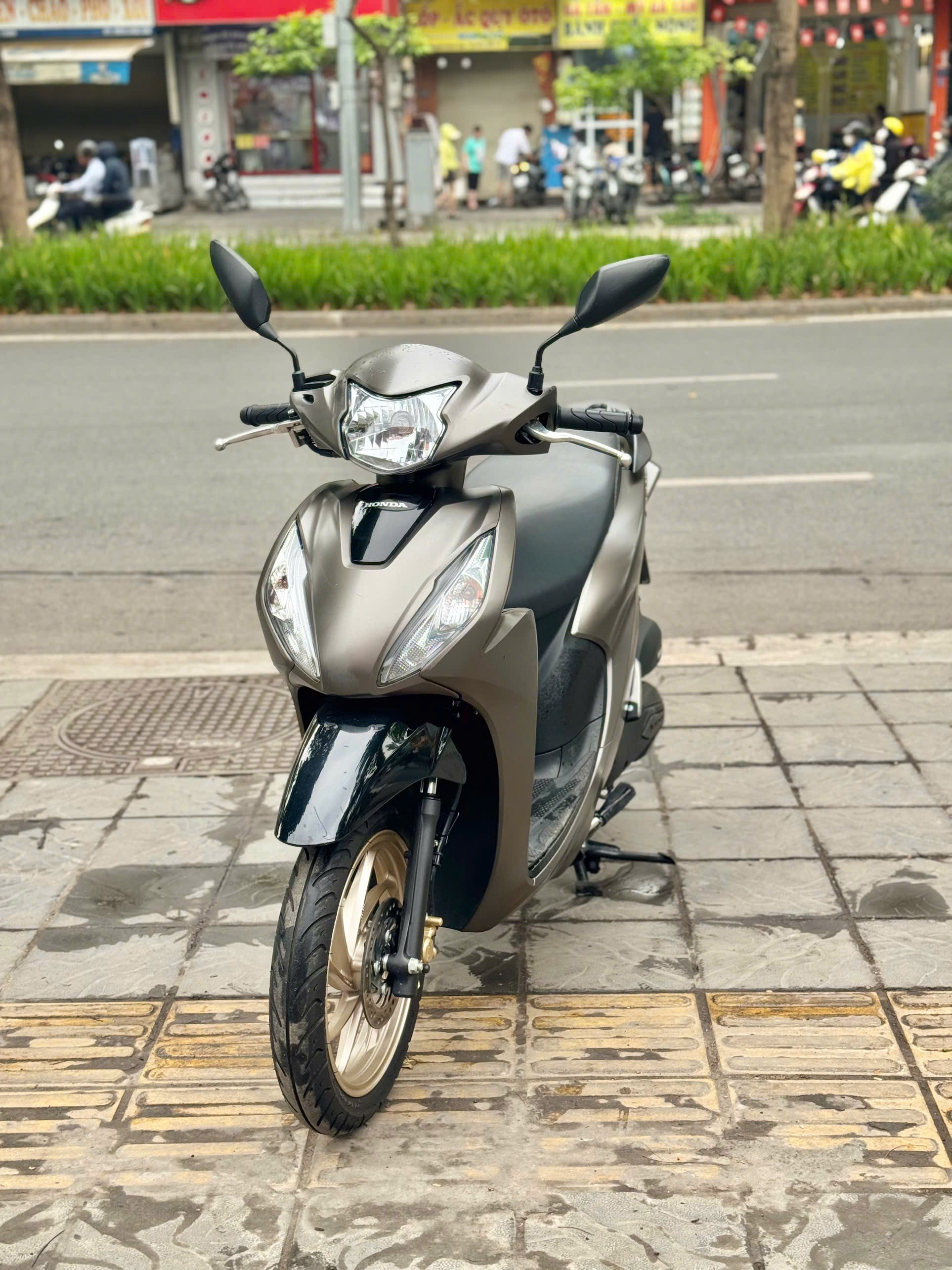 Vision 2025 nâu 29AD-23090