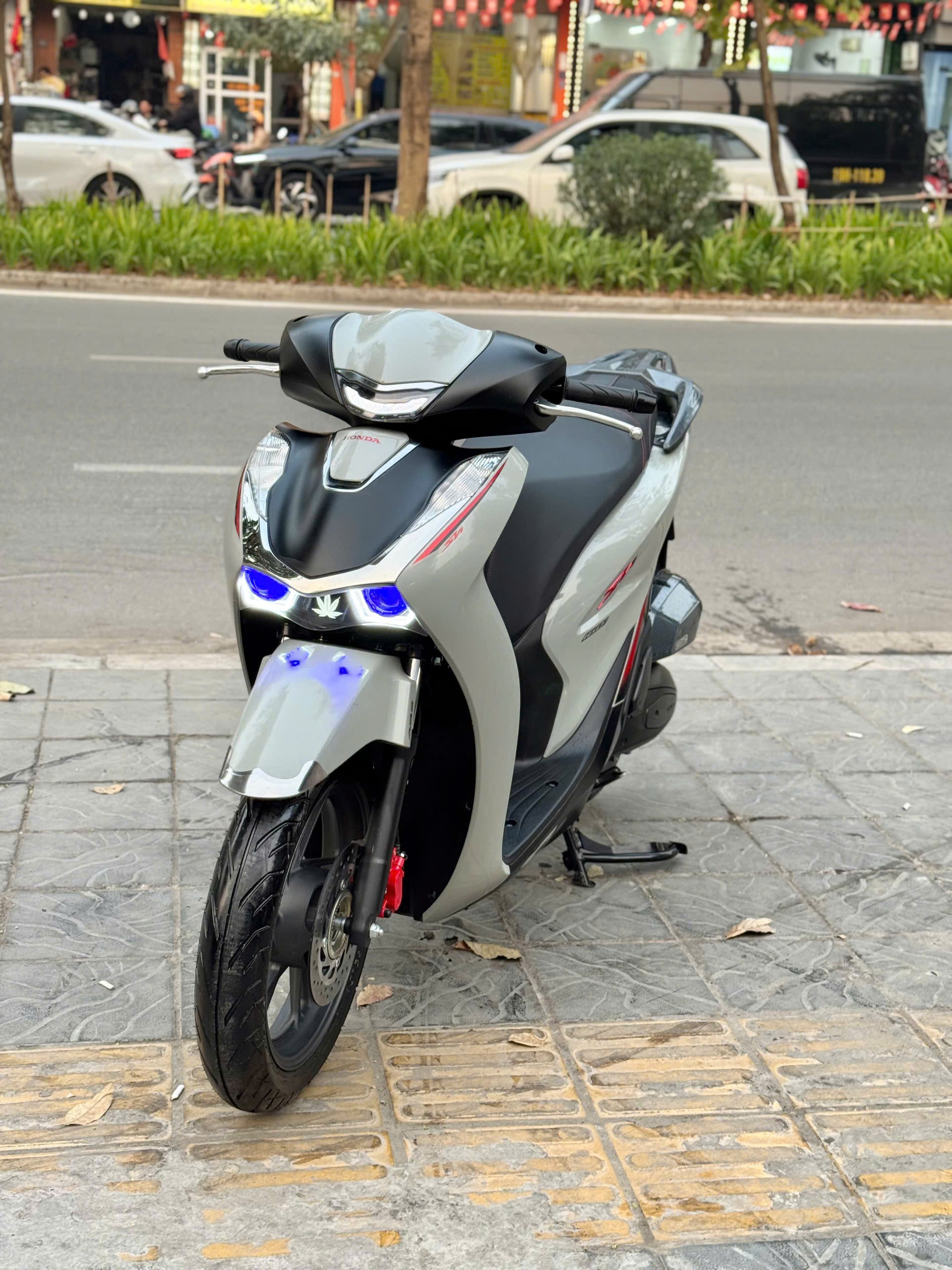 Sh160abs 2025 xám 29BP-00481